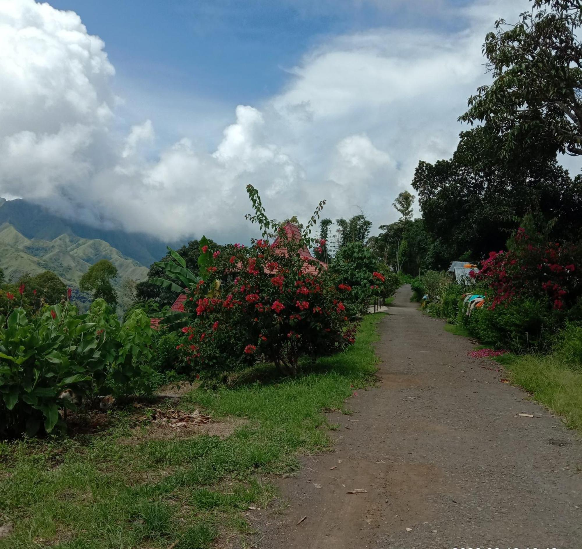 Home Stay Wolokoro Ecotourism Bajawa Quarto foto